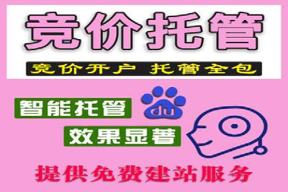 百度推广的成功案例：从零到一的突破